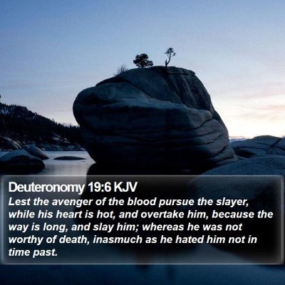 Deuteronomy 19:6 KJV Bible Verse Image