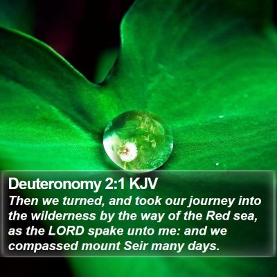 Deuteronomy 2:1 KJV Bible Verse Image