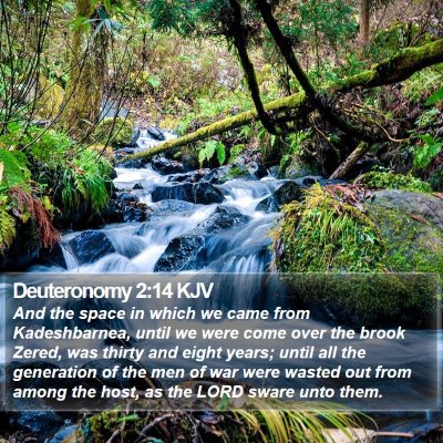 Deuteronomy 2:14 KJV Bible Verse Image