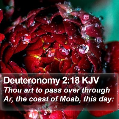 Deuteronomy 2:18 KJV Bible Verse Image