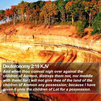 Deuteronomy 2:19 KJV Bible Verse Image