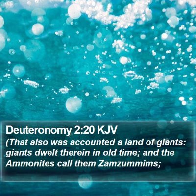 Deuteronomy 2:20 KJV Bible Verse Image