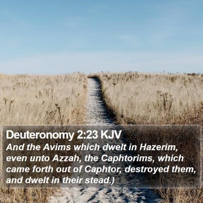Deuteronomy 2:23 KJV Bible Verse Image