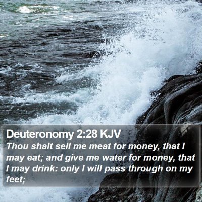 Deuteronomy 2:28 KJV Bible Verse Image