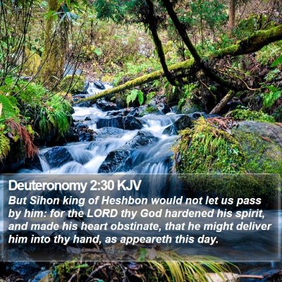 Deuteronomy 2:30 KJV Bible Verse Image