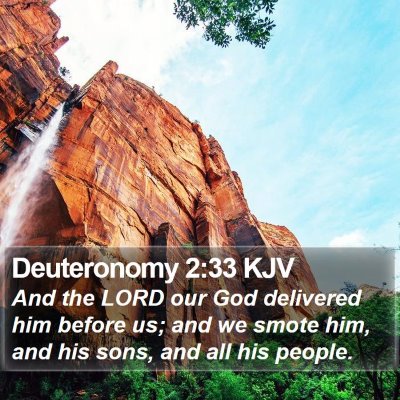 Deuteronomy 2:33 KJV Bible Verse Image
