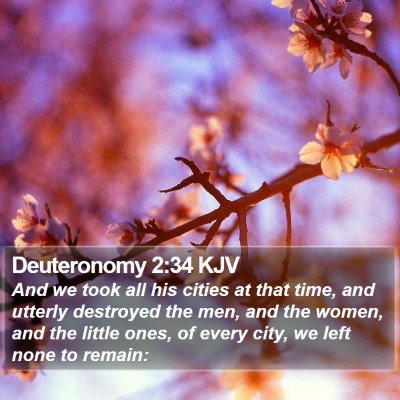 Deuteronomy 2:34 KJV Bible Verse Image