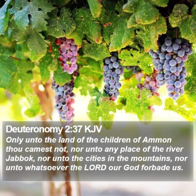 Deuteronomy 2:37 KJV Bible Verse Image