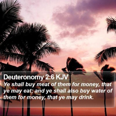 Deuteronomy 2:6 KJV Bible Verse Image