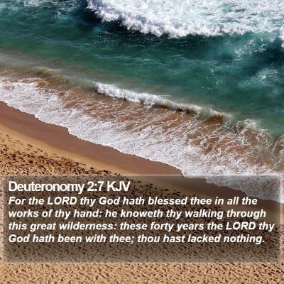 Deuteronomy 2:7 KJV Bible Verse Image