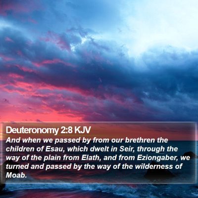 Deuteronomy 2:8 KJV Bible Verse Image