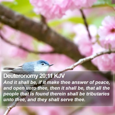 Deuteronomy 20:11 KJV Bible Verse Image