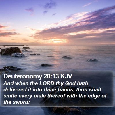 Deuteronomy 20:13 KJV Bible Verse Image