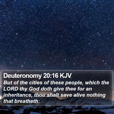 Deuteronomy 20:16 KJV Bible Verse Image