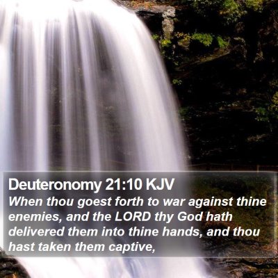 Deuteronomy 21:10 KJV Bible Verse Image