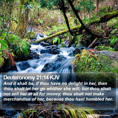 Deuteronomy 21:14 KJV Bible Verse Image