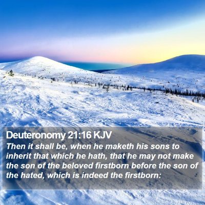 Deuteronomy 21:16 KJV Bible Verse Image