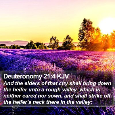 Deuteronomy 21:4 KJV Bible Verse Image