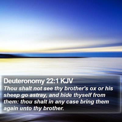 Deuteronomy 22:1 KJV Bible Verse Image