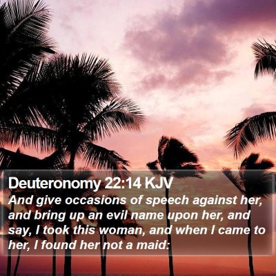 Deuteronomy 22:14 KJV Bible Verse Image