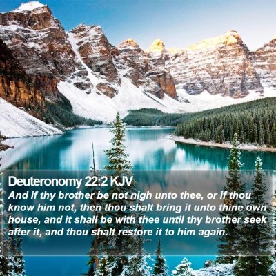 Deuteronomy 22:2 KJV Bible Verse Image