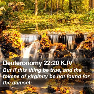 Deuteronomy 22:20 KJV Bible Verse Image