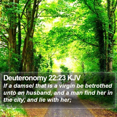 Deuteronomy 22:23 KJV Bible Verse Image