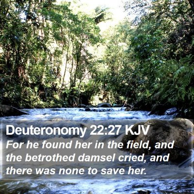 Deuteronomy 22:27 KJV Bible Verse Image