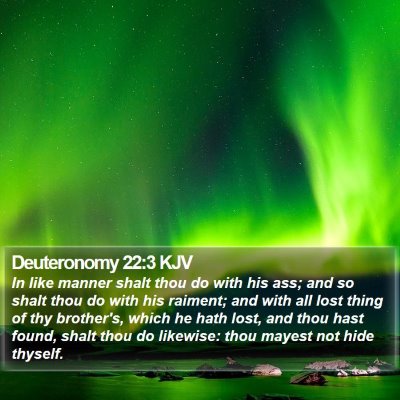 Deuteronomy 22:3 KJV Bible Verse Image