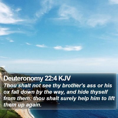 Deuteronomy 22:4 KJV Bible Verse Image