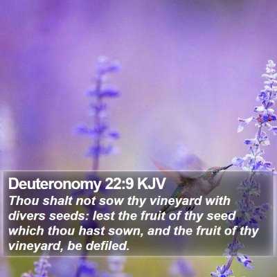 Deuteronomy 22:9 KJV Bible Verse Image