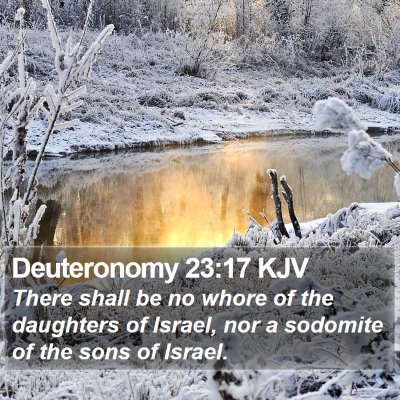 Deuteronomy 23:17 KJV Bible Verse Image