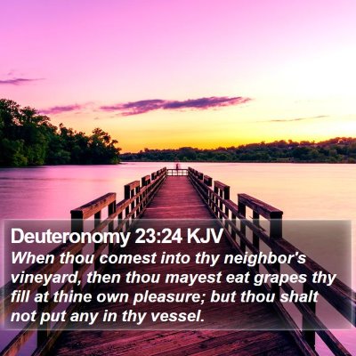 Deuteronomy 23:24 KJV Bible Verse Image