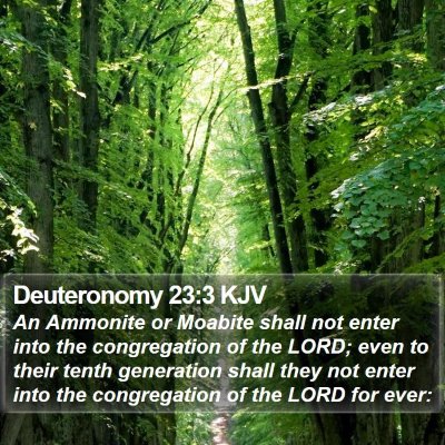 Deuteronomy 23:3 KJV Bible Verse Image