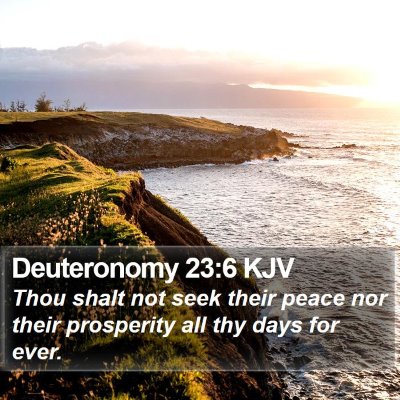 Deuteronomy 23:6 KJV Bible Verse Image