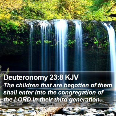 Deuteronomy 23:8 KJV Bible Verse Image