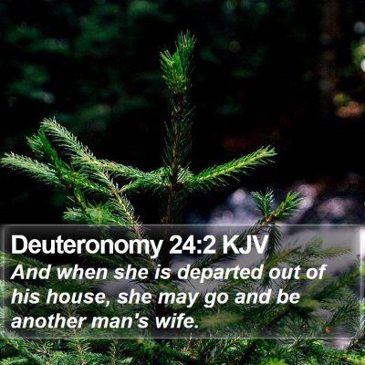 Deuteronomy 24:2 KJV Bible Verse Image