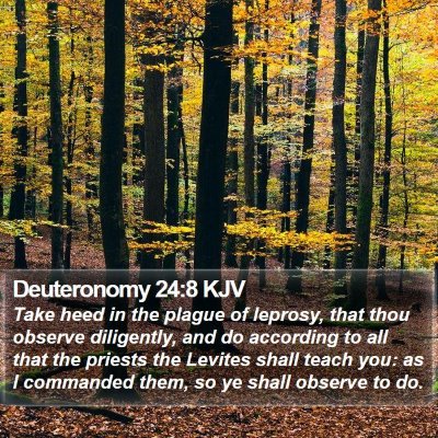 Deuteronomy 24:8 KJV Bible Verse Image
