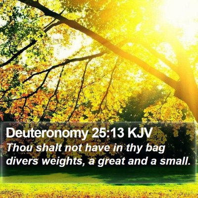 Deuteronomy 25:13 KJV Bible Verse Image
