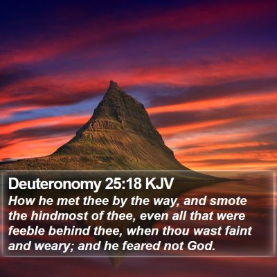 Deuteronomy 25:18 KJV Bible Verse Image