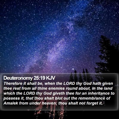 Deuteronomy 25:19 KJV Bible Verse Image