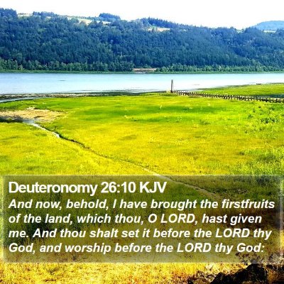 Deuteronomy 26:10 KJV Bible Verse Image