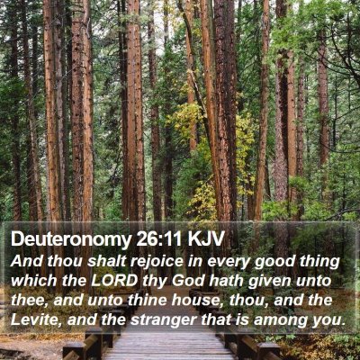 Deuteronomy 26:11 KJV Bible Verse Image
