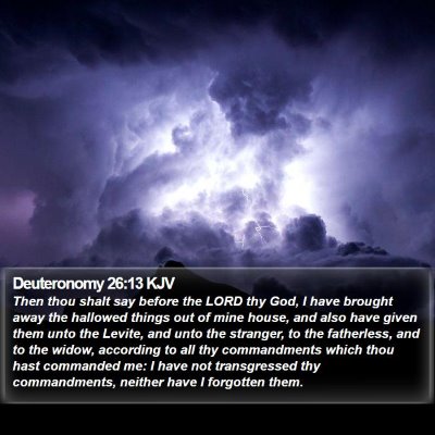 Deuteronomy 26:13 KJV Bible Verse Image