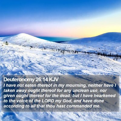 Deuteronomy 26:14 KJV Bible Verse Image