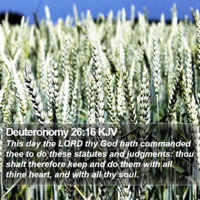 Deuteronomy 26:16 KJV Bible Verse Image