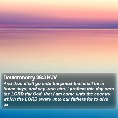 Deuteronomy 26:3 KJV Bible Verse Image