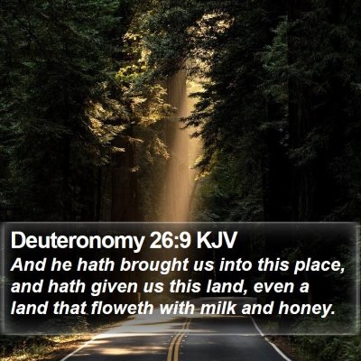 Deuteronomy 26:9 KJV Bible Verse Image