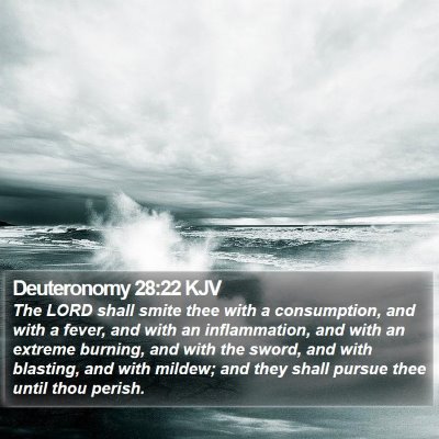 Deuteronomy 28:22 KJV Bible Verse Image