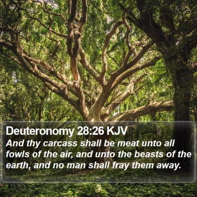 Deuteronomy 28:26 KJV Bible Verse Image